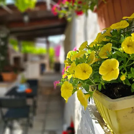 Il Trullo Felice * Locorotondo